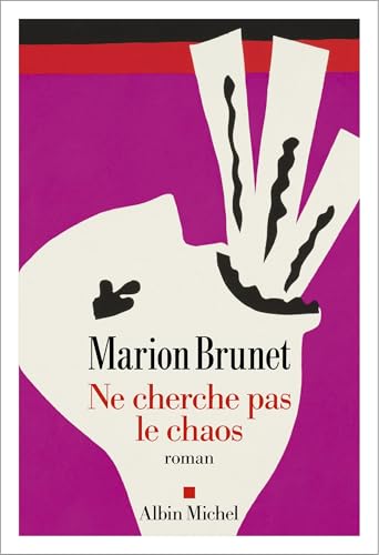 NE CHERCHE PAS LE CHAOS